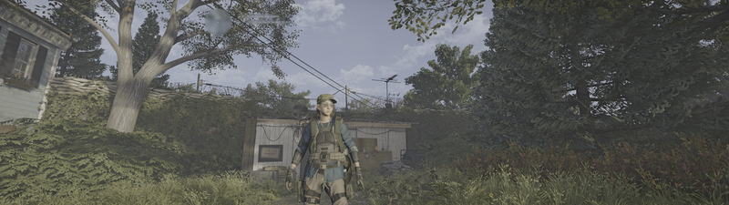 The Division 2